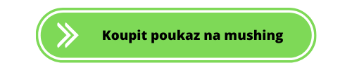 Mushing pro pejskaře